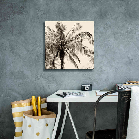 Image of 'Palm Tree Sepia III' by Debra Van Swearingen, Canvas Wall Art,18 x 18
