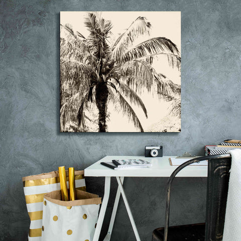 Image of 'Palm Tree Sepia III' by Debra Van Swearingen, Canvas Wall Art,26 x 26