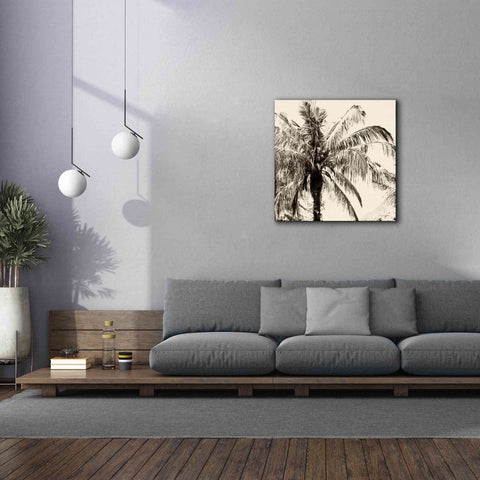 Image of 'Palm Tree Sepia III' by Debra Van Swearingen, Canvas Wall Art,37 x 37