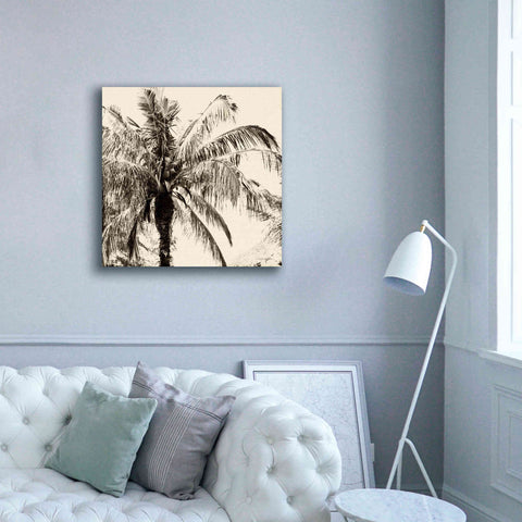 Image of 'Palm Tree Sepia III' by Debra Van Swearingen, Canvas Wall Art,37 x 37