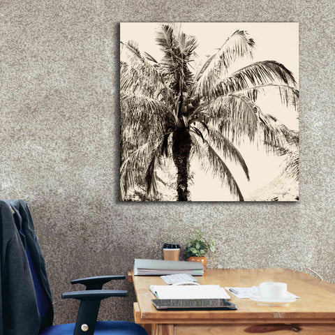 Image of 'Palm Tree Sepia III' by Debra Van Swearingen, Canvas Wall Art,37 x 37