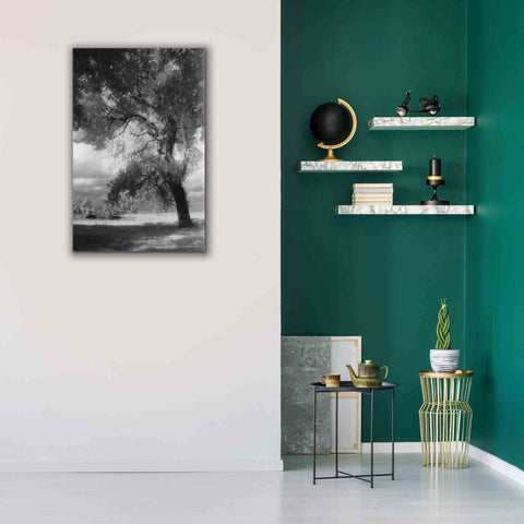 Image of 'Dreamscape' by Debra Van Swearingen, Canvas Wall Art,26 x 40