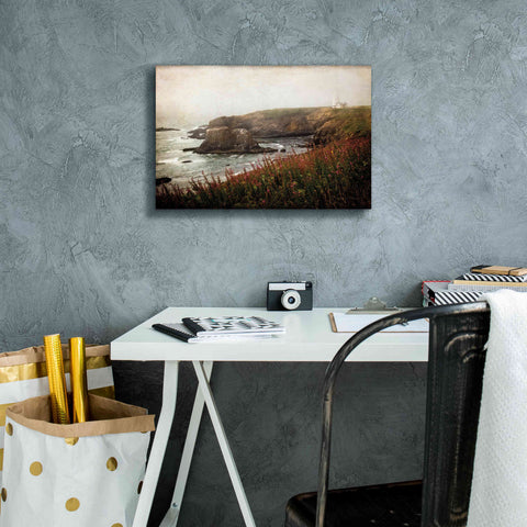 Image of 'Coastal Mist' by Debra Van Swearingen, Canvas Wall Art,18 x 12