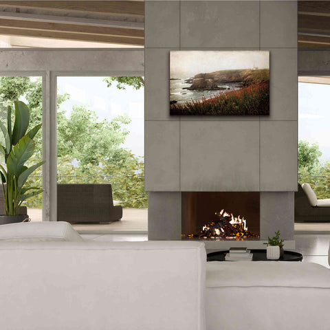 Image of 'Coastal Mist' by Debra Van Swearingen, Canvas Wall Art,40 x 26