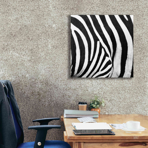 Image of 'Zebra IV' by Debra Van Swearingen, Canvas Wall Art,26 x 26
