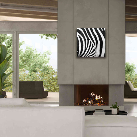 Image of 'Zebra IV' by Debra Van Swearingen, Canvas Wall Art,26 x 26