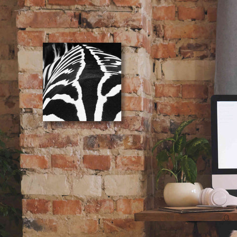 Image of 'Zebra V' by Debra Van Swearingen, Canvas Wall Art,12 x 12