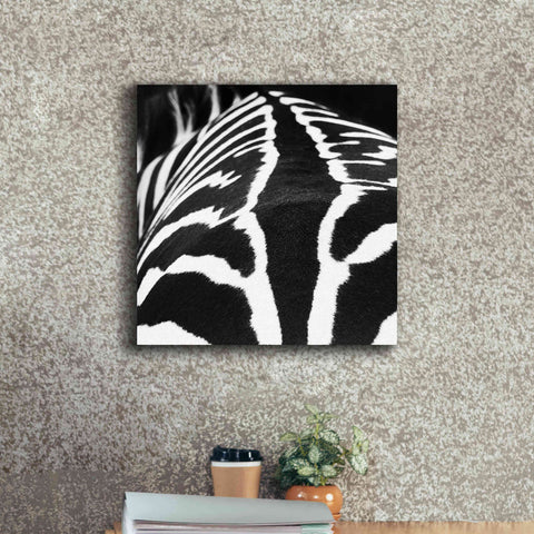 Image of 'Zebra V' by Debra Van Swearingen, Canvas Wall Art,18 x 18