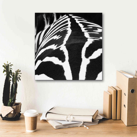 Image of 'Zebra V' by Debra Van Swearingen, Canvas Wall Art,18 x 18