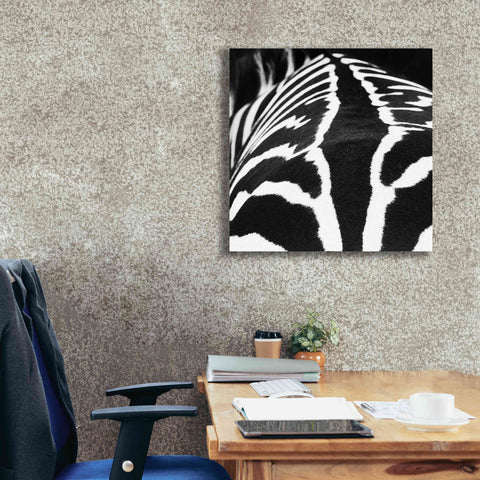 Image of 'Zebra V' by Debra Van Swearingen, Canvas Wall Art,26 x 26