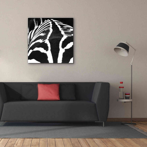 Image of 'Zebra V' by Debra Van Swearingen, Canvas Wall Art,37 x 37