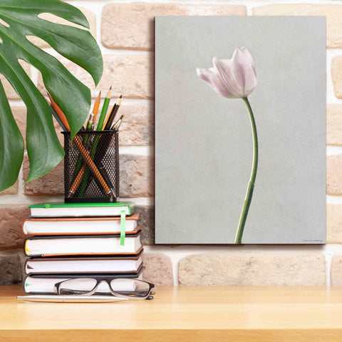 Image of 'Light Tulips I' by Debra Van Swearingen, Canvas Wall Art,12 x 16