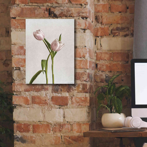 Image of 'Light Tulips IV' by Debra Van Swearingen, Canvas Wall Art,12 x 16