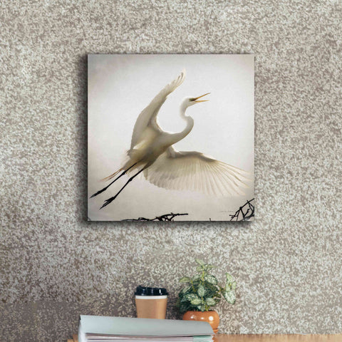 Image of 'Emergence' by Debra Van Swearingen, Canvas Wall Art,18 x 18