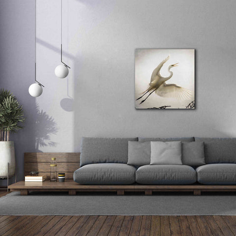 Image of 'Emergence' by Debra Van Swearingen, Canvas Wall Art,37 x 37