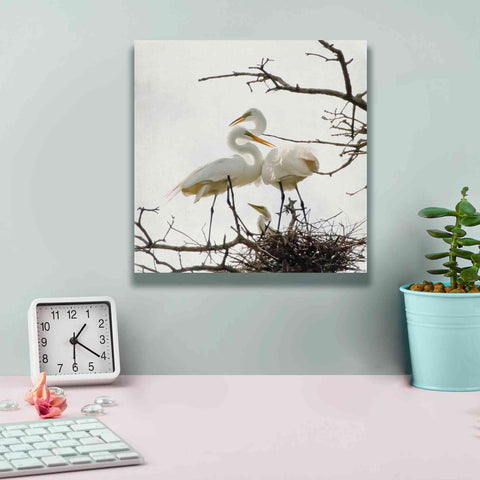 Image of 'Devotion' by Debra Van Swearingen, Canvas Wall Art,12 x 12
