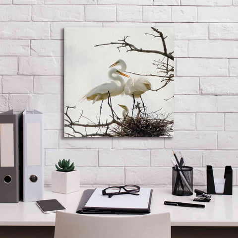Image of 'Devotion' by Debra Van Swearingen, Canvas Wall Art,18 x 18