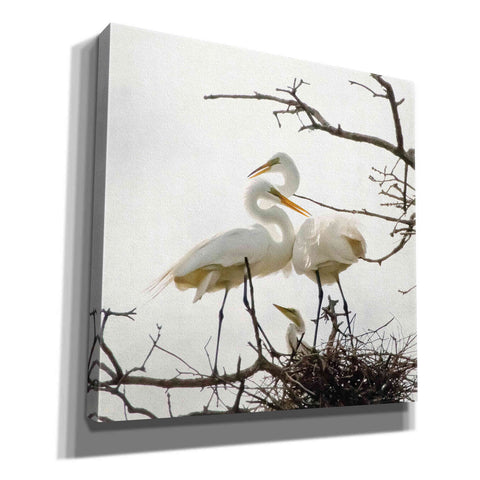 Image of 'Devotion' by Debra Van Swearingen, Canvas Wall Art,12x12x1.1x0,18x18x1.1x0,26x26x1.74x0,37x37x1.74x0