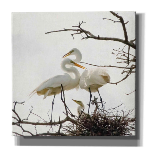 Image of 'Devotion' by Debra Van Swearingen, Canvas Wall Art,12x12x1.1x0,18x18x1.1x0,26x26x1.74x0,37x37x1.74x0