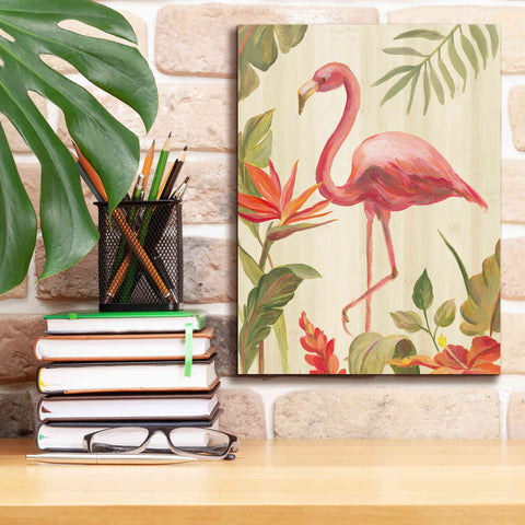 Image of 'Tropical Garden X' by Silvia Vassileva, Canvas Wall Art,12 x 16