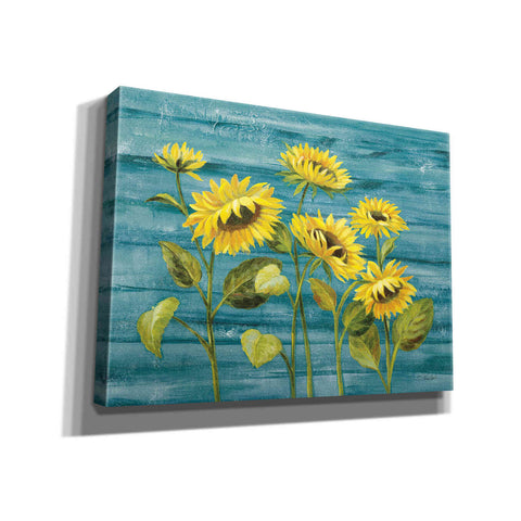 Image of 'Cottage Sunflowers Teal' by Silvia Vassileva, Canvas Wall Art,16x12x1.1x0,26x18x1.1x0,34x26x1.74x0,54x40x1.74x0