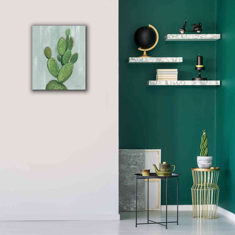 Image of 'Front Yard Cactus I Slate' by Silvia Vassileva, Canvas Wall Art,20 x 24