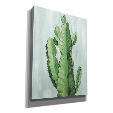 Image of 'Front Yard Cactus II Slate' by Silvia Vassileva, Canvas Wall Art,12x16x1.1x0,20x24x1.1x0,26x30x1.74x0,40x54x1.74x0