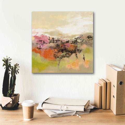 Image of 'Midsummer Meadow Path' by Silvia Vassileva, Canvas Wall Art,18 x 18