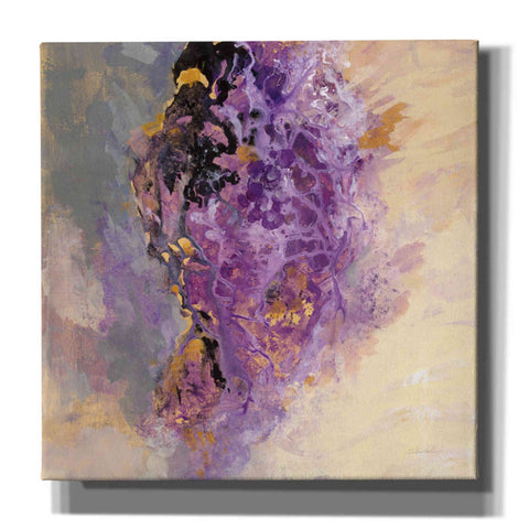 Image of 'Amethyst' by Silvia Vassileva, Canvas Wall Art,12x12x1.1x0,18x18x1.1x0,26x26x1.74x0,37x37x1.74x0