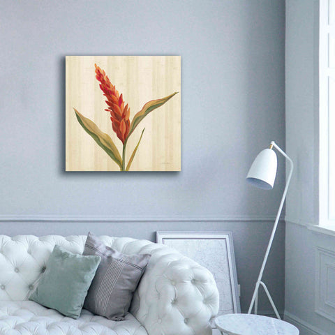 Image of 'Tropical Garden II' by Silvia Vassileva, Canvas Wall Art,37 x 37