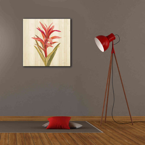 Image of 'Tropical Garden III' by Silvia Vassileva, Canvas Wall Art,26 x 26
