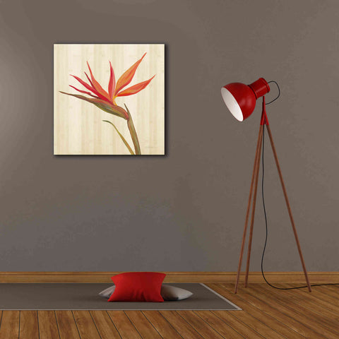 Image of 'Tropical Garden IV' by Silvia Vassileva, Canvas Wall Art,26 x 26