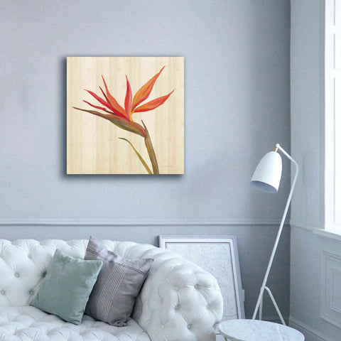 Image of 'Tropical Garden IV' by Silvia Vassileva, Canvas Wall Art,37 x 37