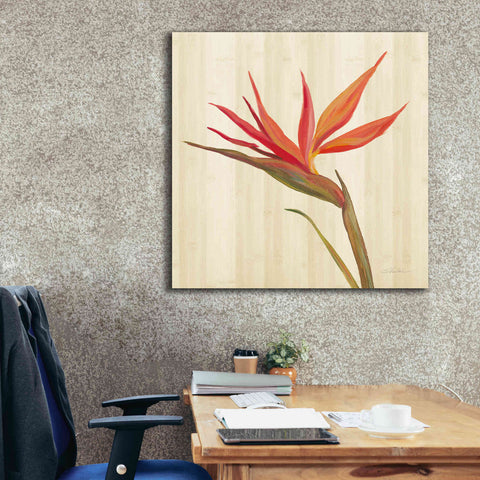 Image of 'Tropical Garden IV' by Silvia Vassileva, Canvas Wall Art,37 x 37