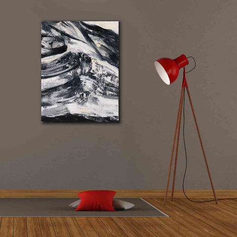 Image of Epic Art 'Graphic Canyon III' by Silvia Vassileva, Canvas Wall Art,26 x 34