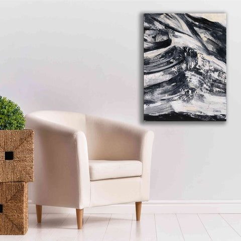 Image of Epic Art 'Graphic Canyon III' by Silvia Vassileva, Canvas Wall Art,26 x 34