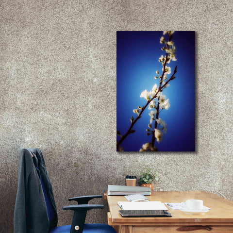 Image of 'Almost Blue' by Cesare Bellassai, Canvas Wall Art,26 x 40