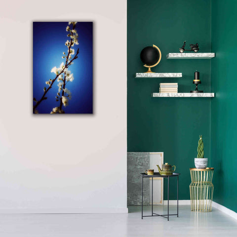 Image of 'Almost Blue' by Cesare Bellassai, Canvas Wall Art,26 x 40
