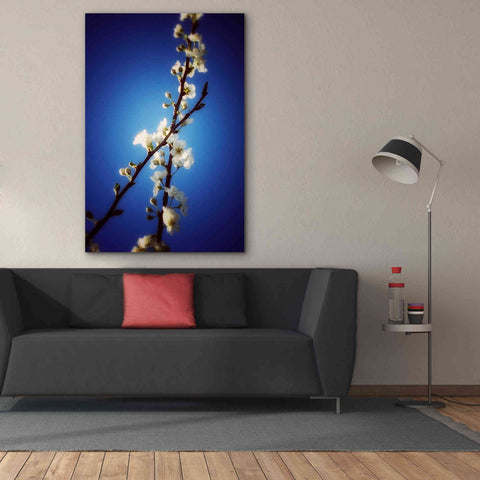 Image of 'Almost Blue' by Cesare Bellassai, Canvas Wall Art,40 x 60