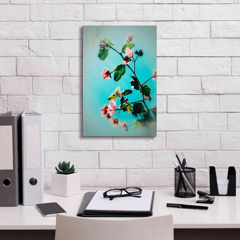 Image of 'Bloom & Beauty' by Cesare Bellassai, Canvas Wall Art,12 x 18