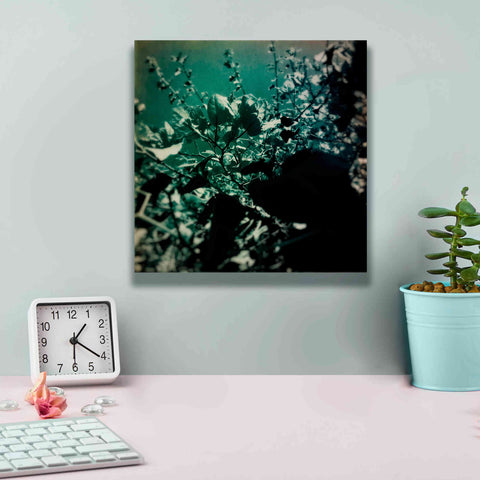 Image of 'Green Poem' by Cesare Bellassai, Canvas Wall Art,12 x 12