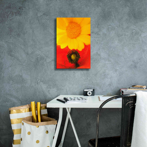 Image of 'Spring Love' by Cesare Bellassai, Canvas Wall Art,12 x 18