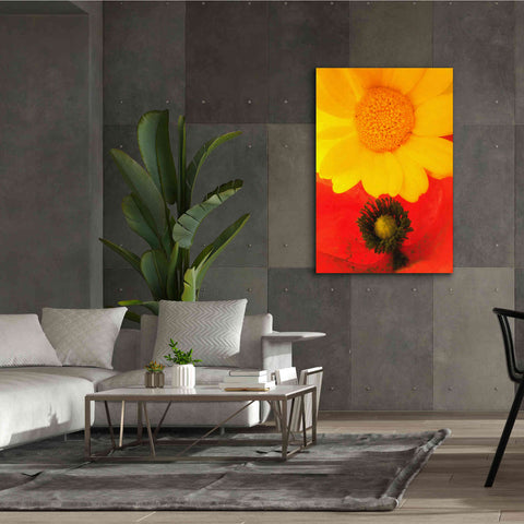 Image of 'Spring Love' by Cesare Bellassai, Canvas Wall Art,40 x 60
