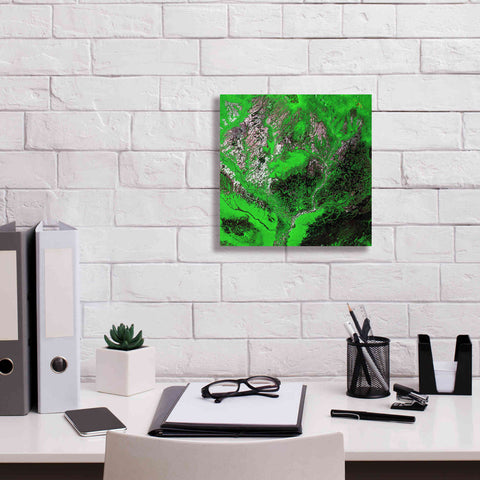 Image of 'Earth as Art: Araca River' Canvas Wall Art,12 x 12
