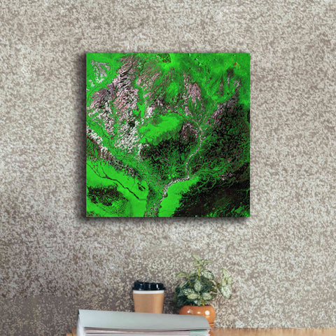 Image of 'Earth as Art: Araca River' Canvas Wall Art,18 x 18