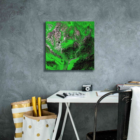 Image of 'Earth as Art: Araca River' Canvas Wall Art,18 x 18