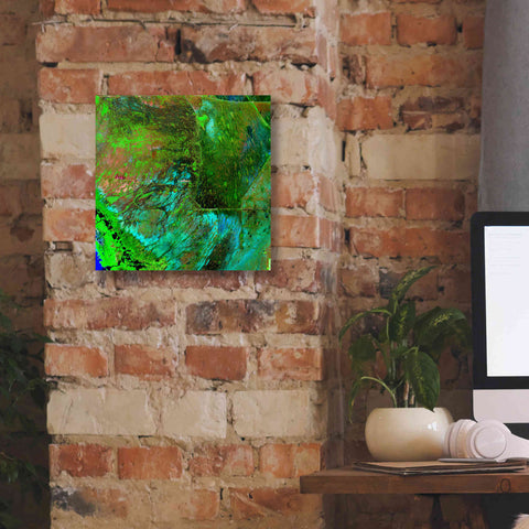 Image of 'Earth as Art: Everglades ' Canvas Wall Art,12 x 12