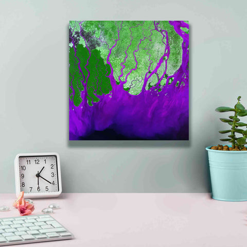 Image of 'Earth as Art: Ganges RIver Delta' Canvas Wall Art,12 x 12