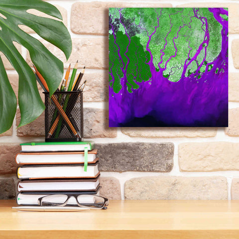 Image of 'Earth as Art: Ganges RIver Delta' Canvas Wall Art,12 x 12
