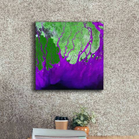 Image of 'Earth as Art: Ganges RIver Delta' Canvas Wall Art,18 x 18